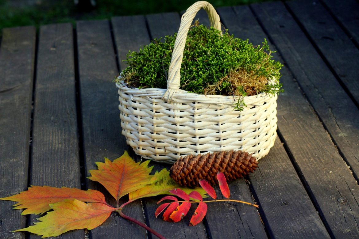 shopping-cart-3750883_1280