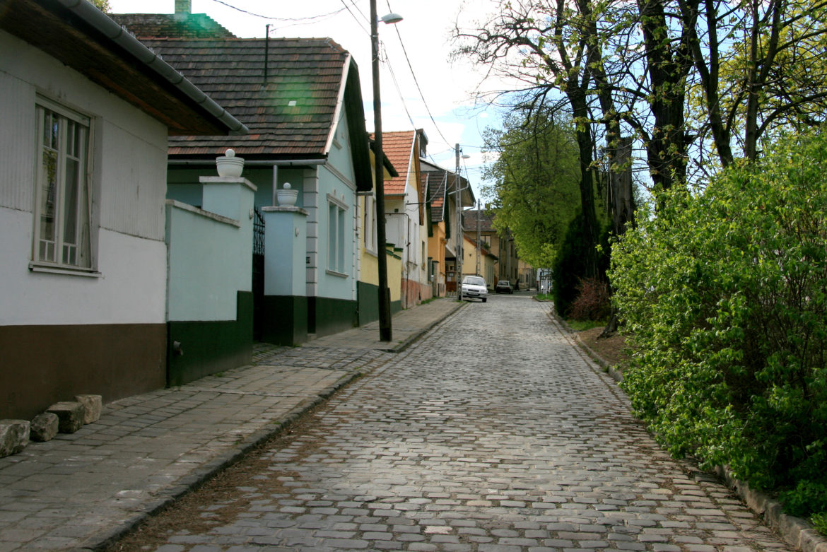 vazak1