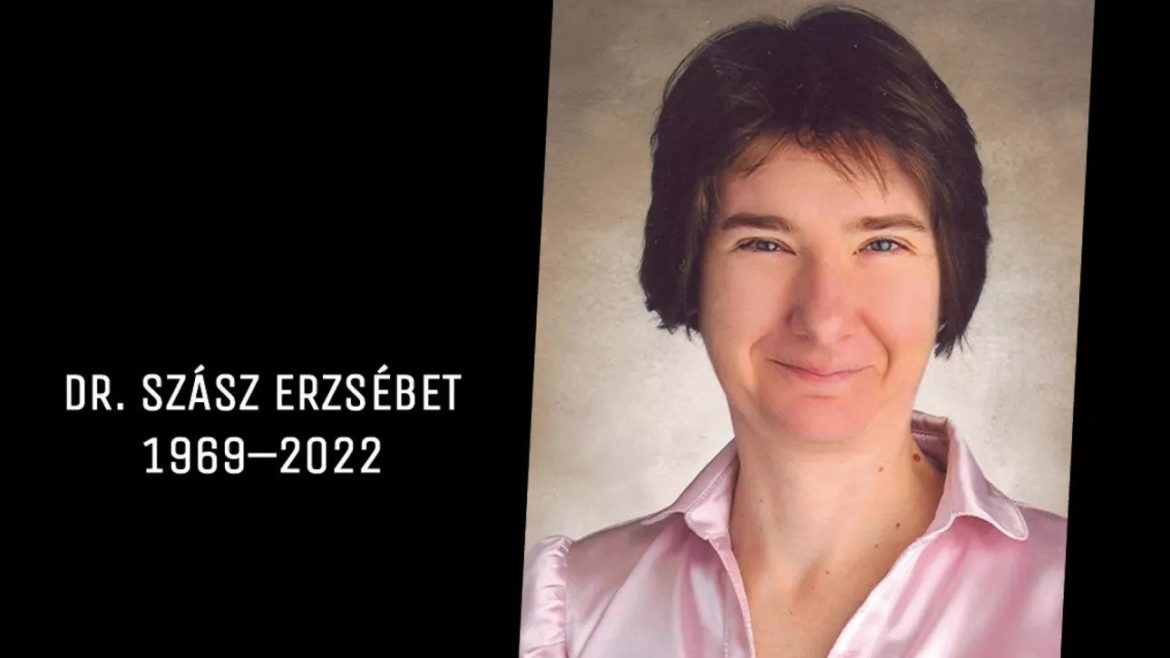 ezgif-4-95781f3a2c