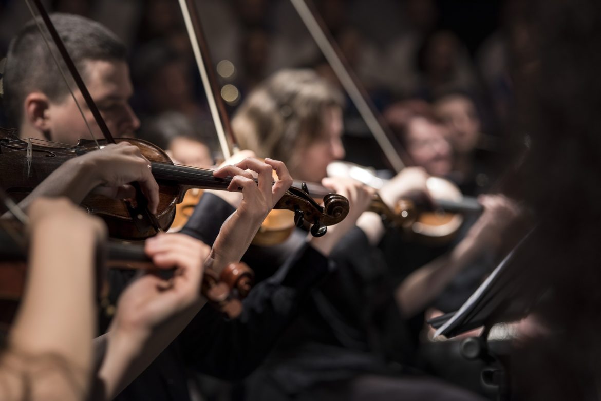 violins-1838390_1920 (1)