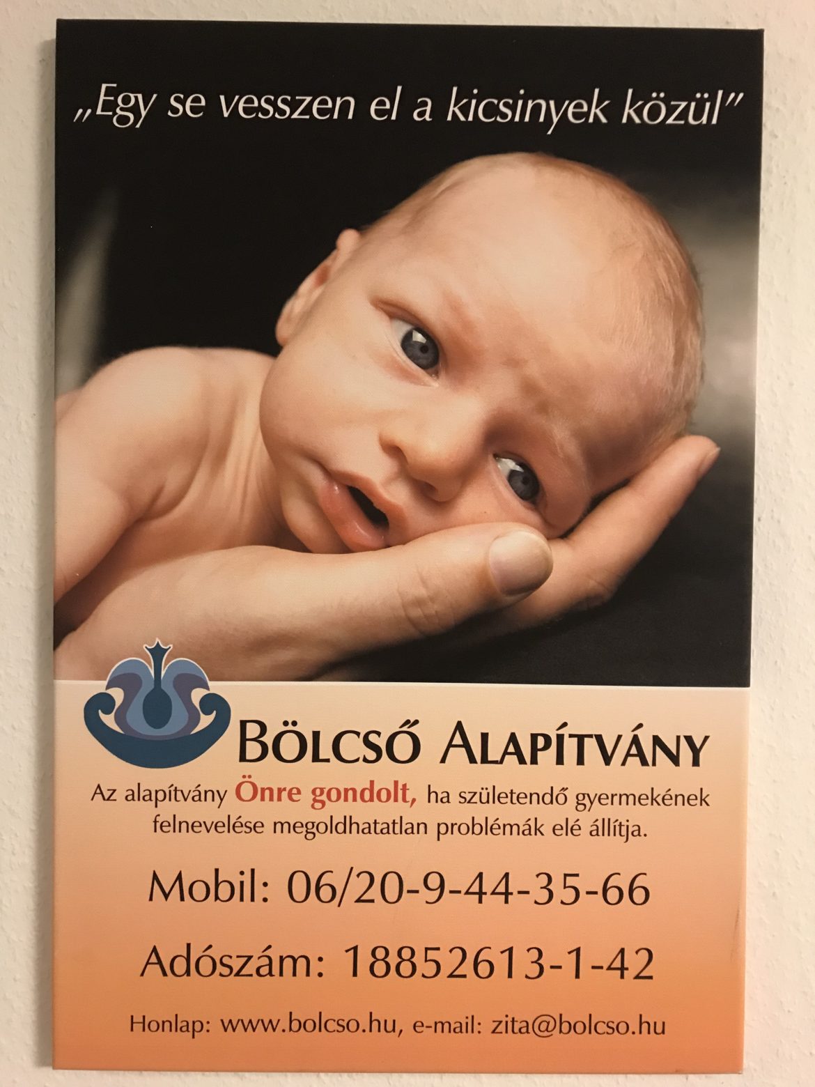 Bölcső Alapítvány, plakát,2023