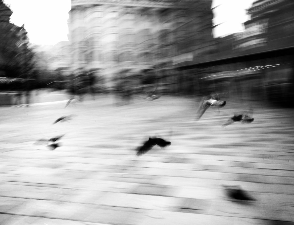22Turbeky-Eszter-fotokiallitasfb