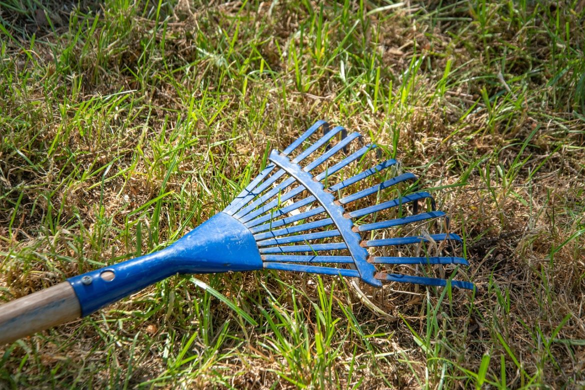 leaves-broom-3406799_1280 (1)