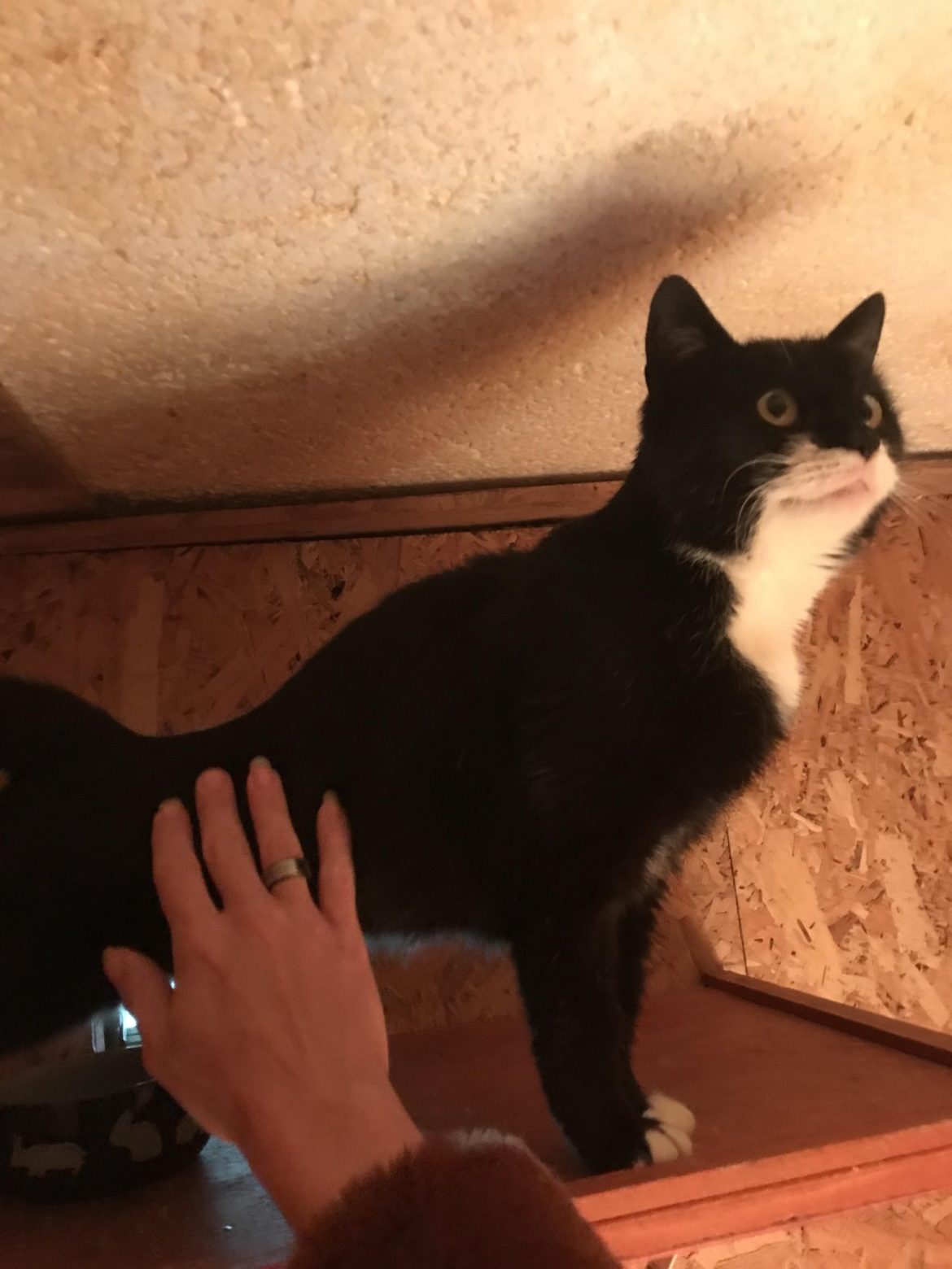 438094768_849537417201679_5007286993736559675_n