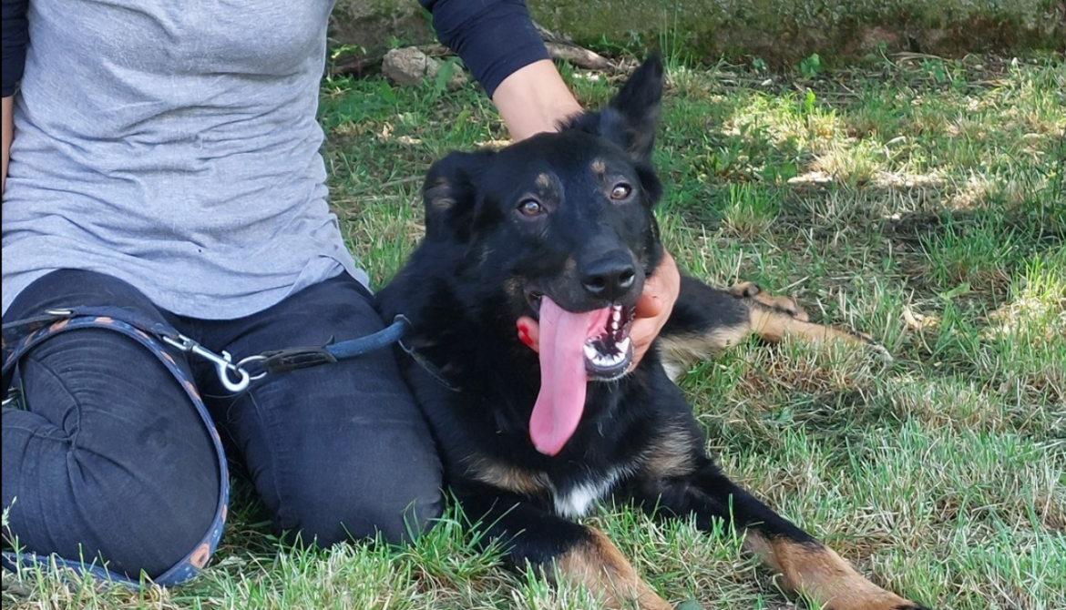 layla