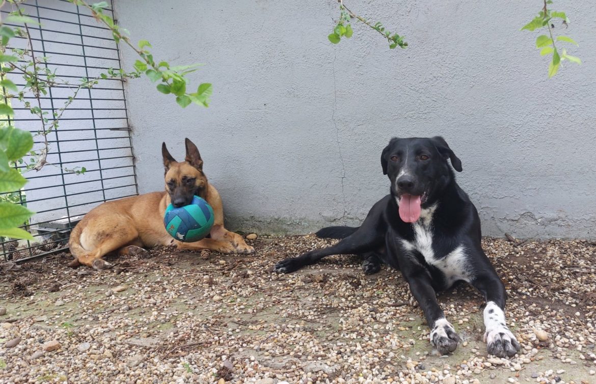 449783252_896684152487005_6770894621808838318_n