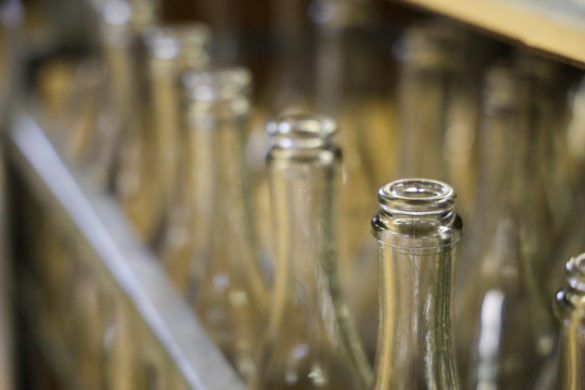 20250503-Pincejárat-Soós Tangazdaság-19