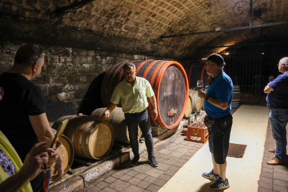 20250503-Pincejárat-Soós Tangazdaság-24