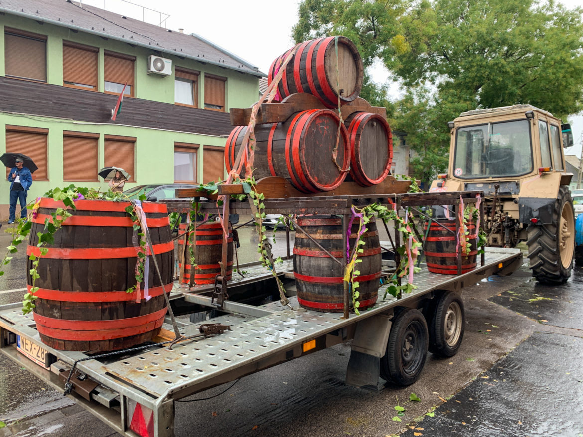 20240928-Szelmann-szureti-megnyito-1002