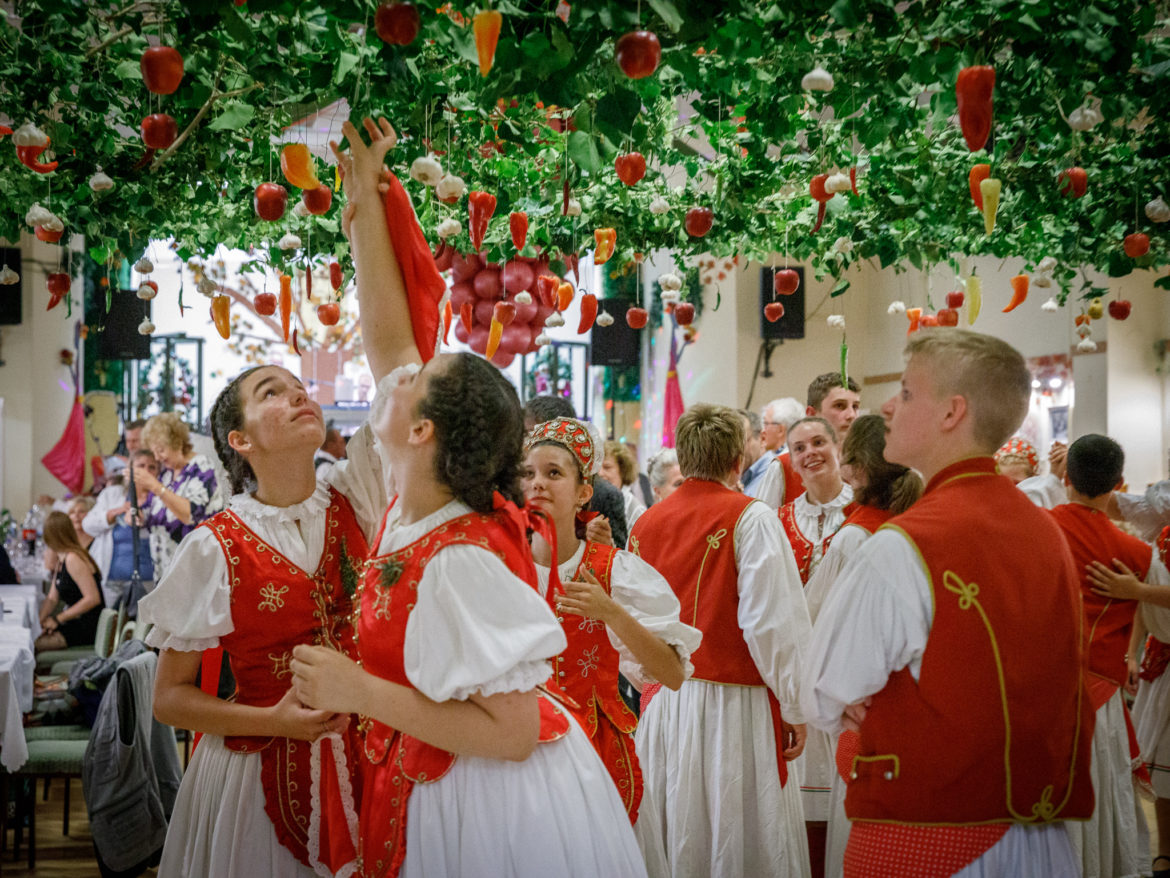 20250927_budafok_szureti_bal_0024_k