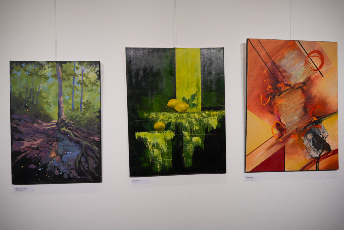 20251107-sztmartin-104