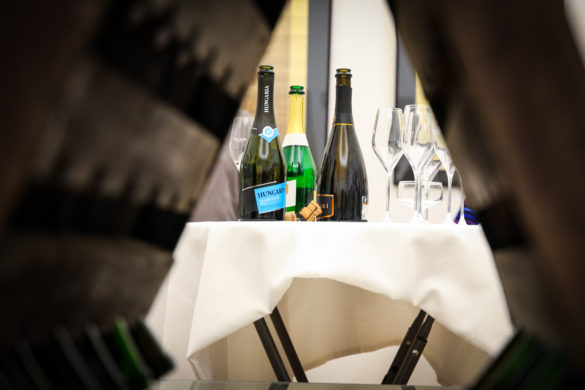 20251108-Magdolna Udvar-Pincejárat-18