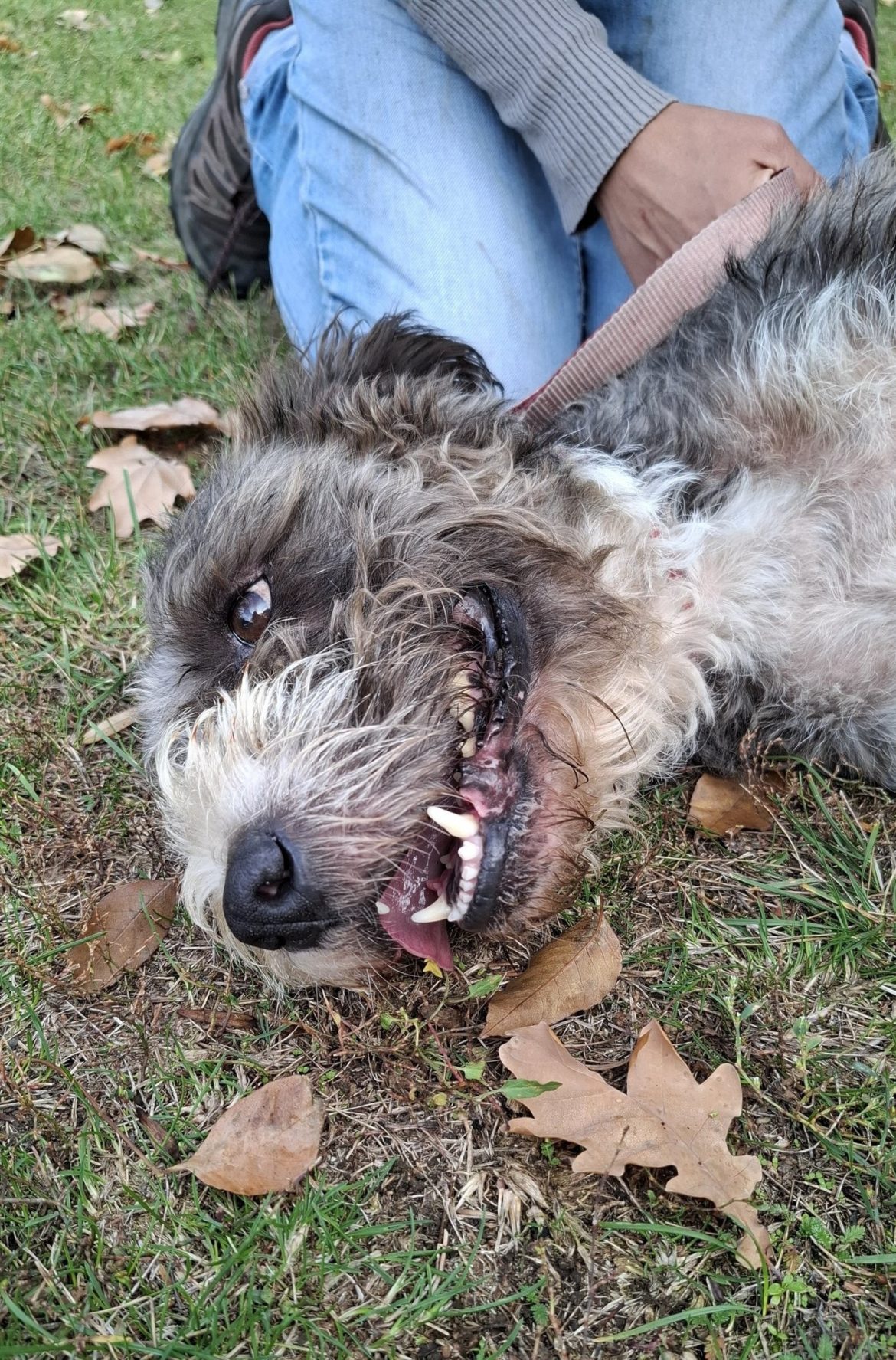 574626079_1285657216923028_4898166865259019392_n