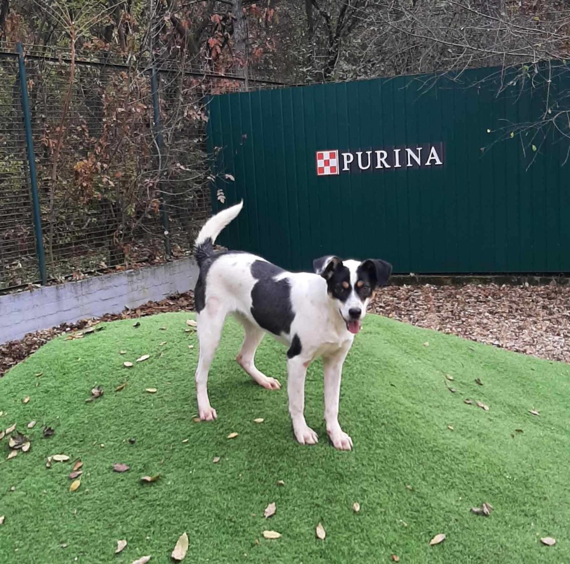 583317448_1297810632374353_4635337282444501589_n