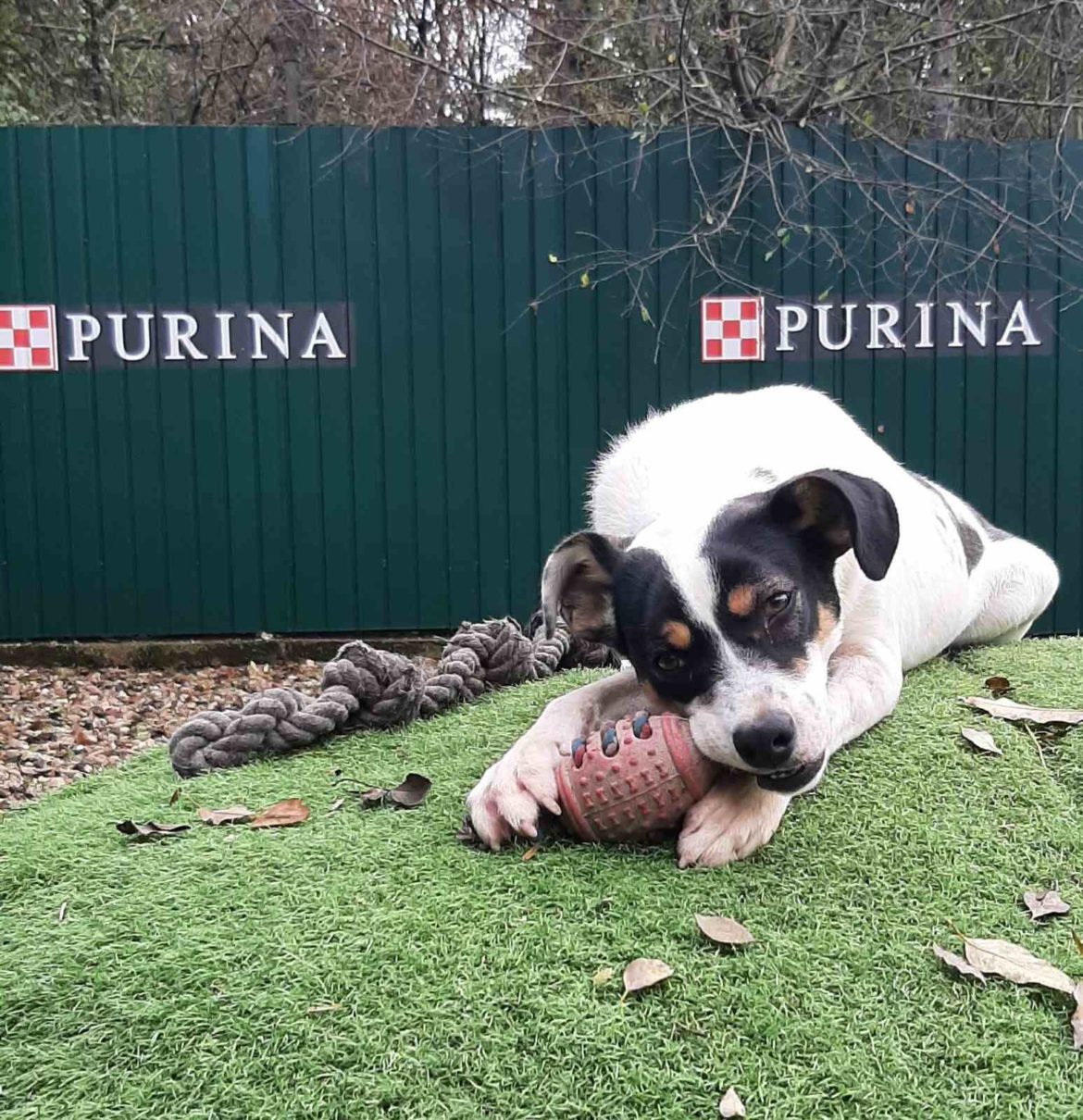 585004997_1297810479041035_5708592072328859652_n