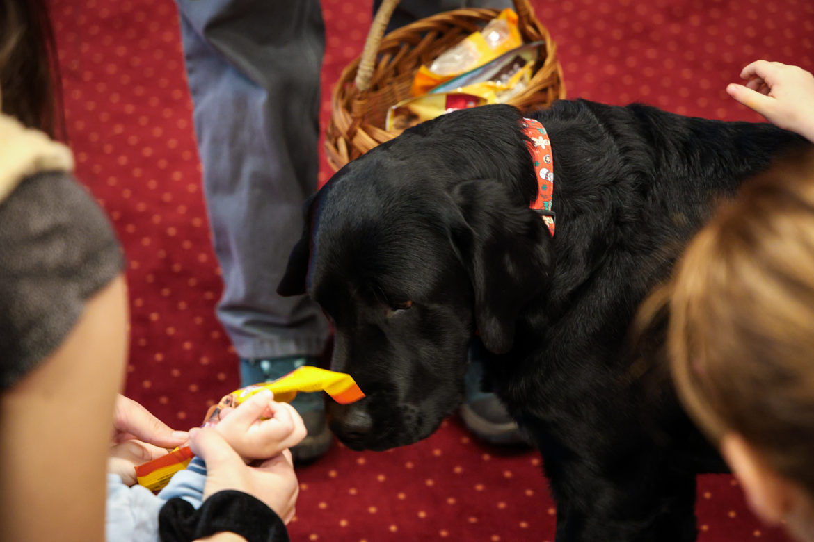 20251212-Majmok világnapja-Klauzál Ház-09