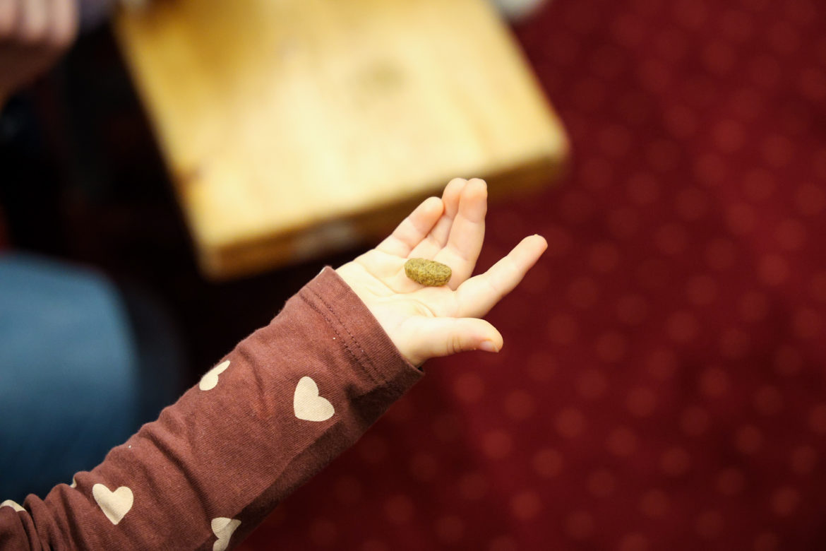 20251212-Majmok világnapja-Klauzál Ház-11