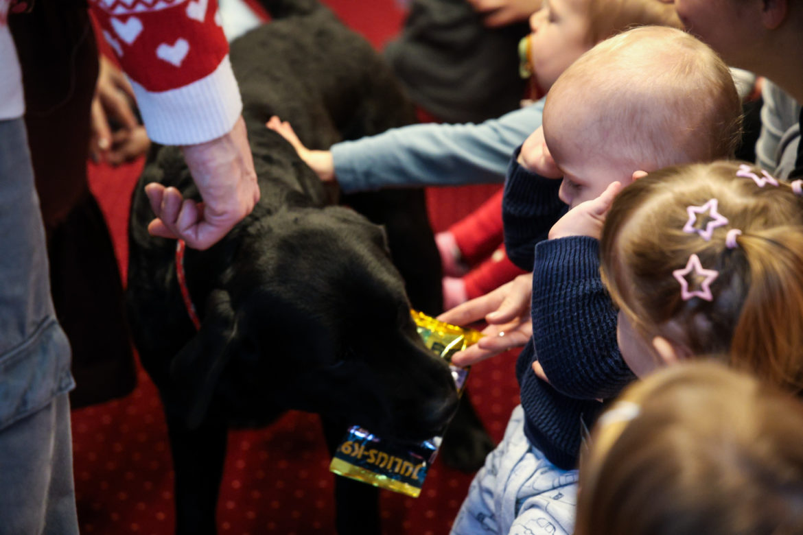 20251212-Majmok világnapja-Klauzál Ház-19