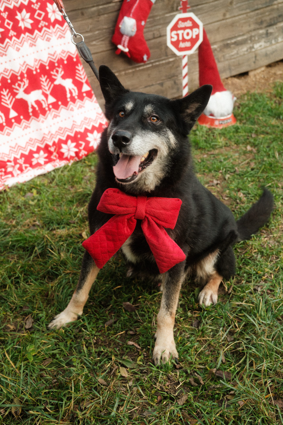 602385001_1325434329611983_9105716955238883886_n