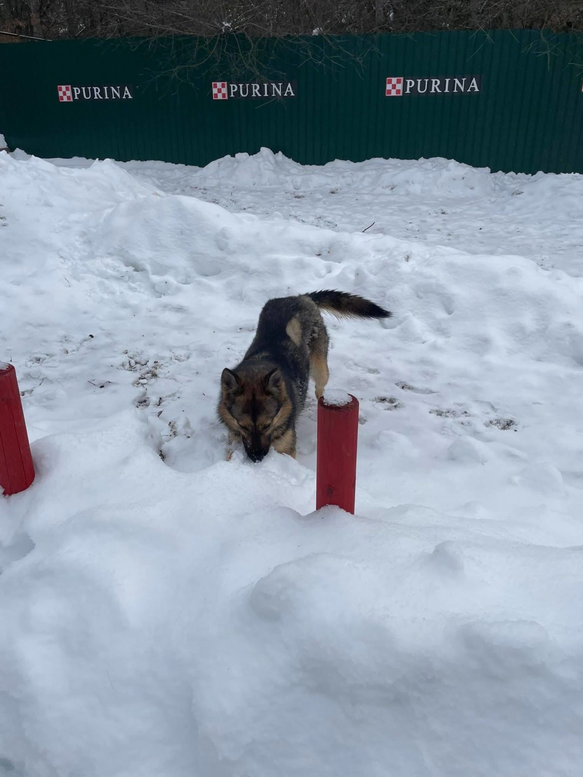 616169609_1344203797735036_3404287467795391751_n