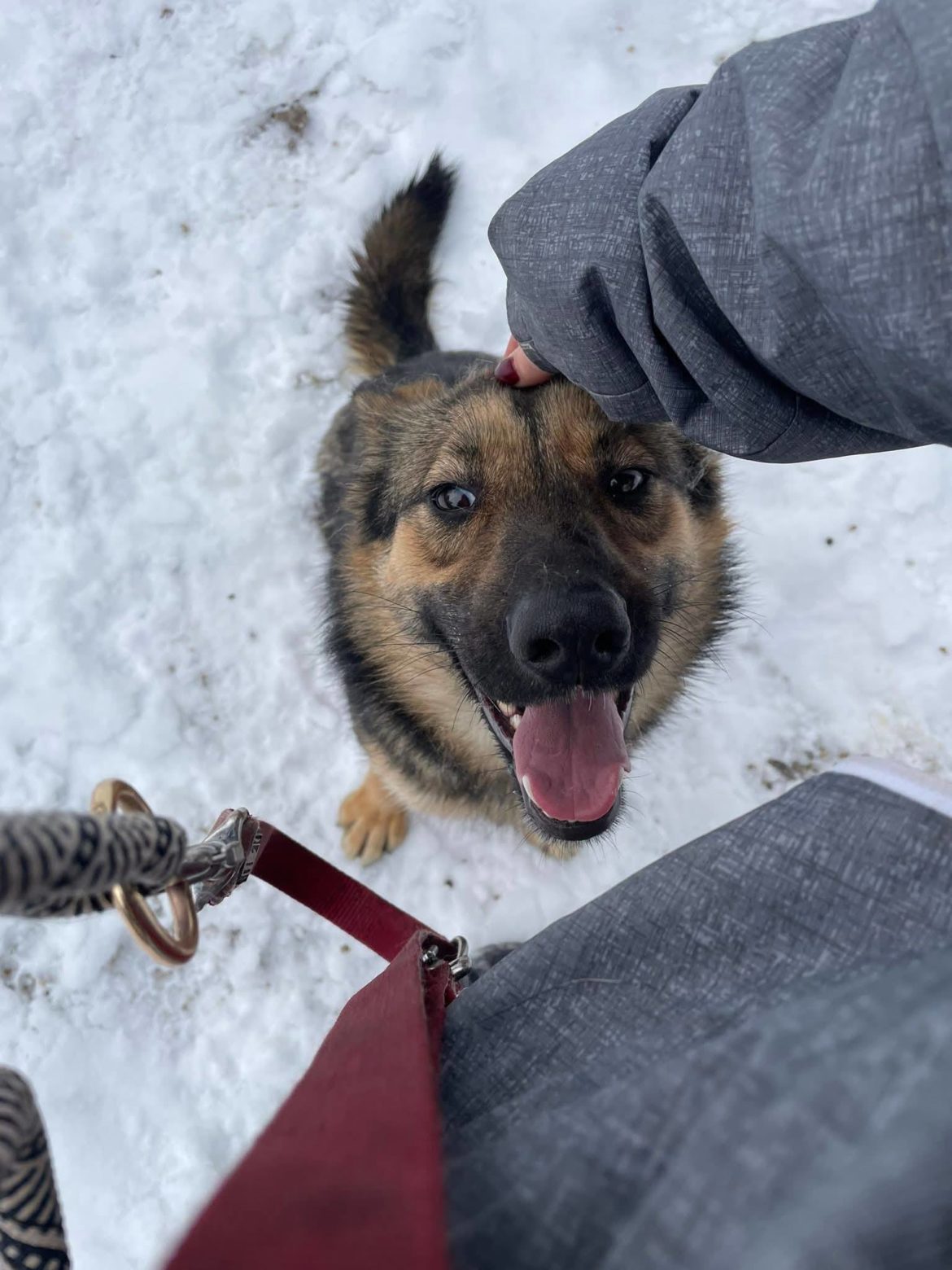 616549659_1344203701068379_1277186265900907147_n