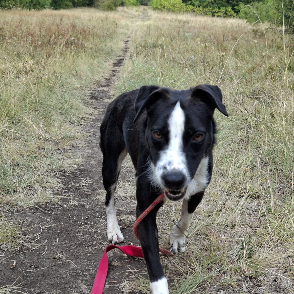 622140334_1355553019933447_2304856715437340141_n