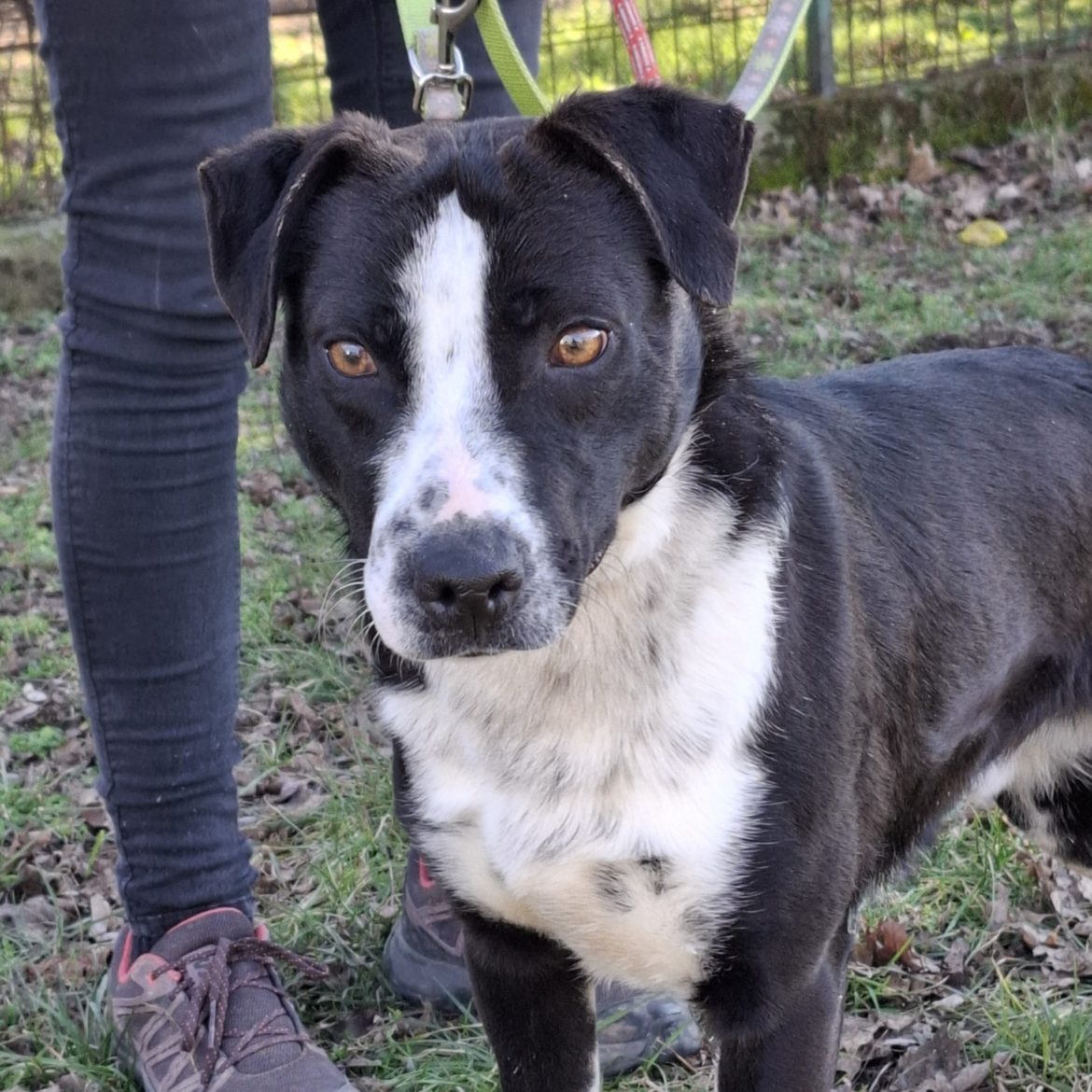 622730429_1355553476600068_3127714356041592884_n