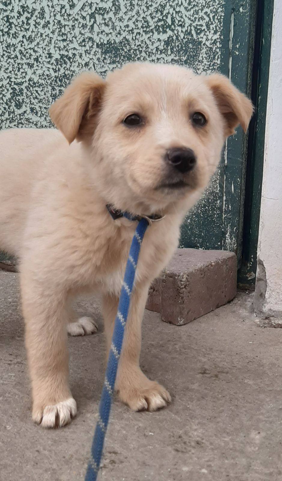 626908465_1360582406097175_7407516169660844580_n (1)