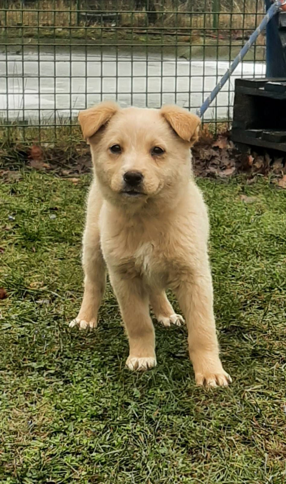 627019062_1360582476097168_2797576013474711284_n