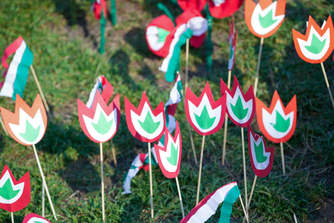 20260313_budafok_koszoruzas_1