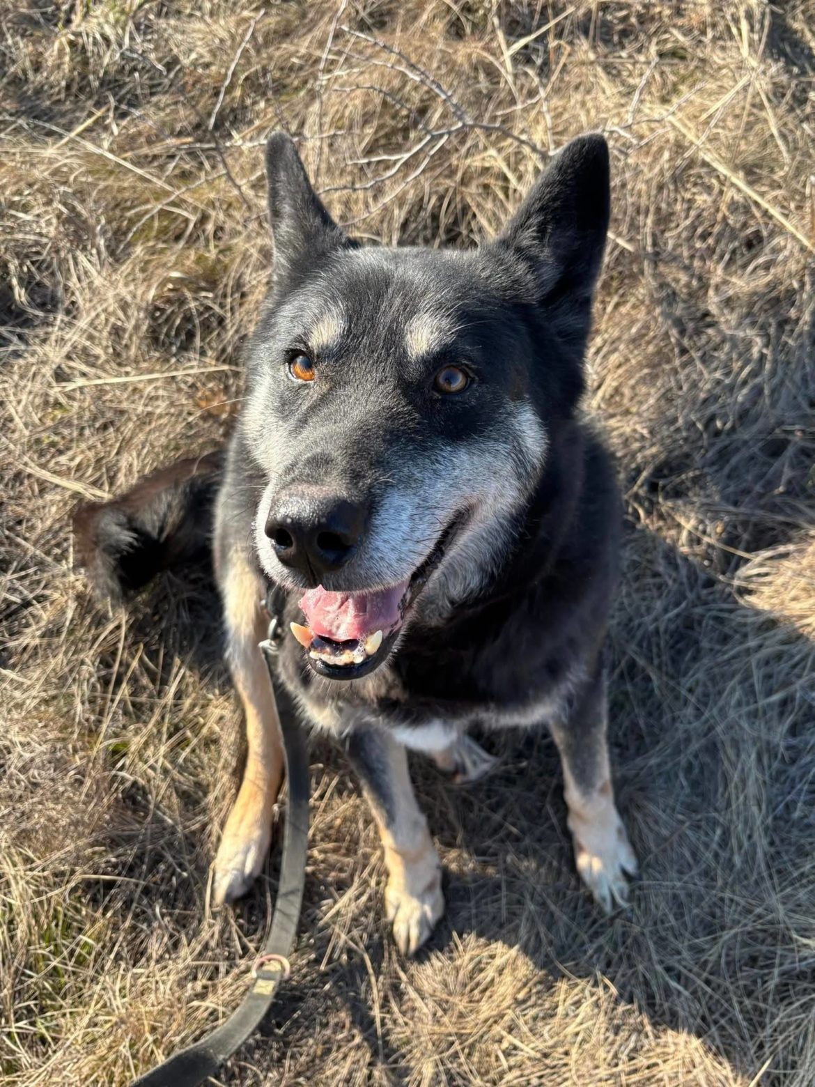 645774105_1385107106978038_5457571789286383084_n