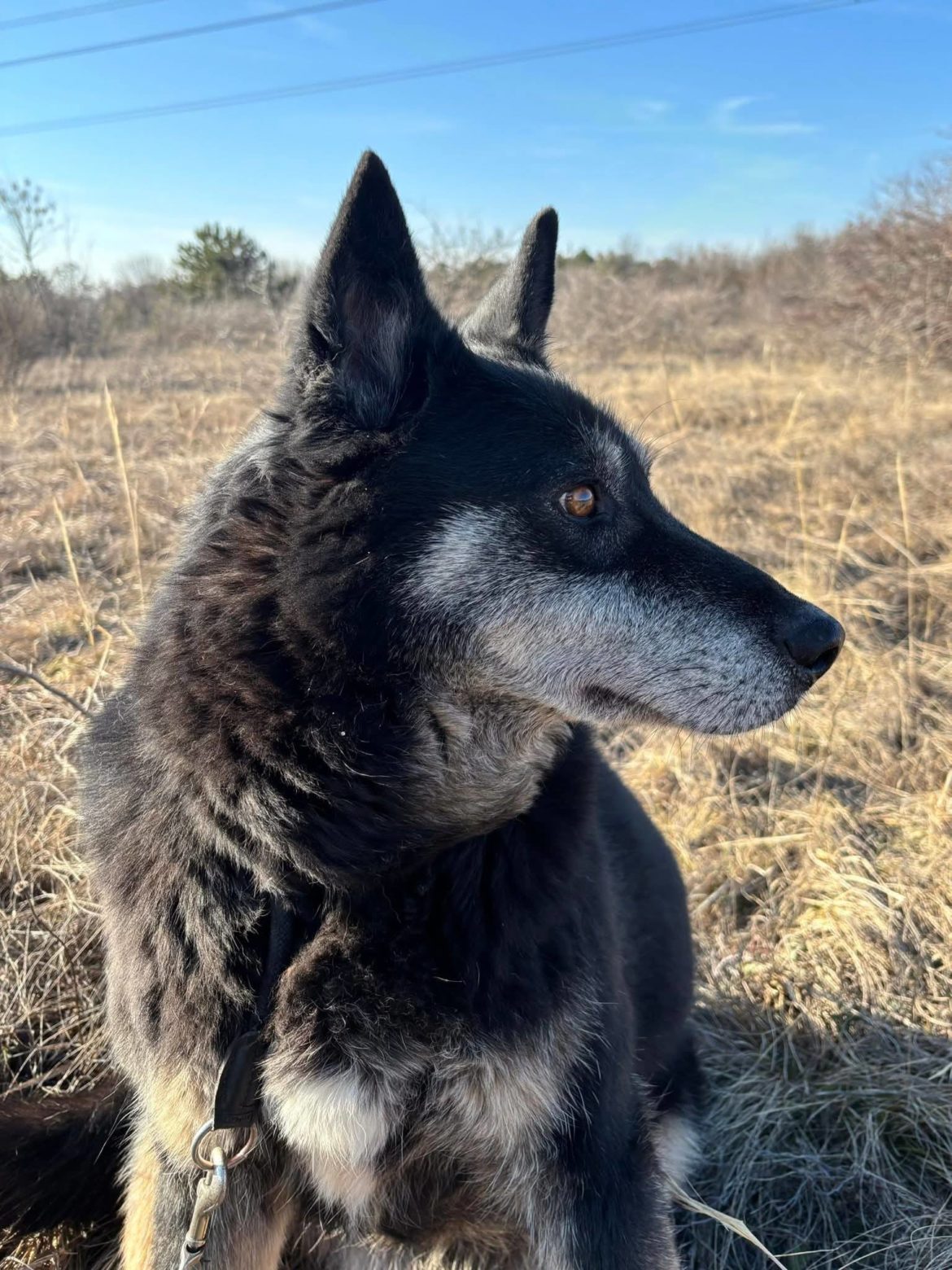 645913992_1385107156978033_3176690286064032859_n