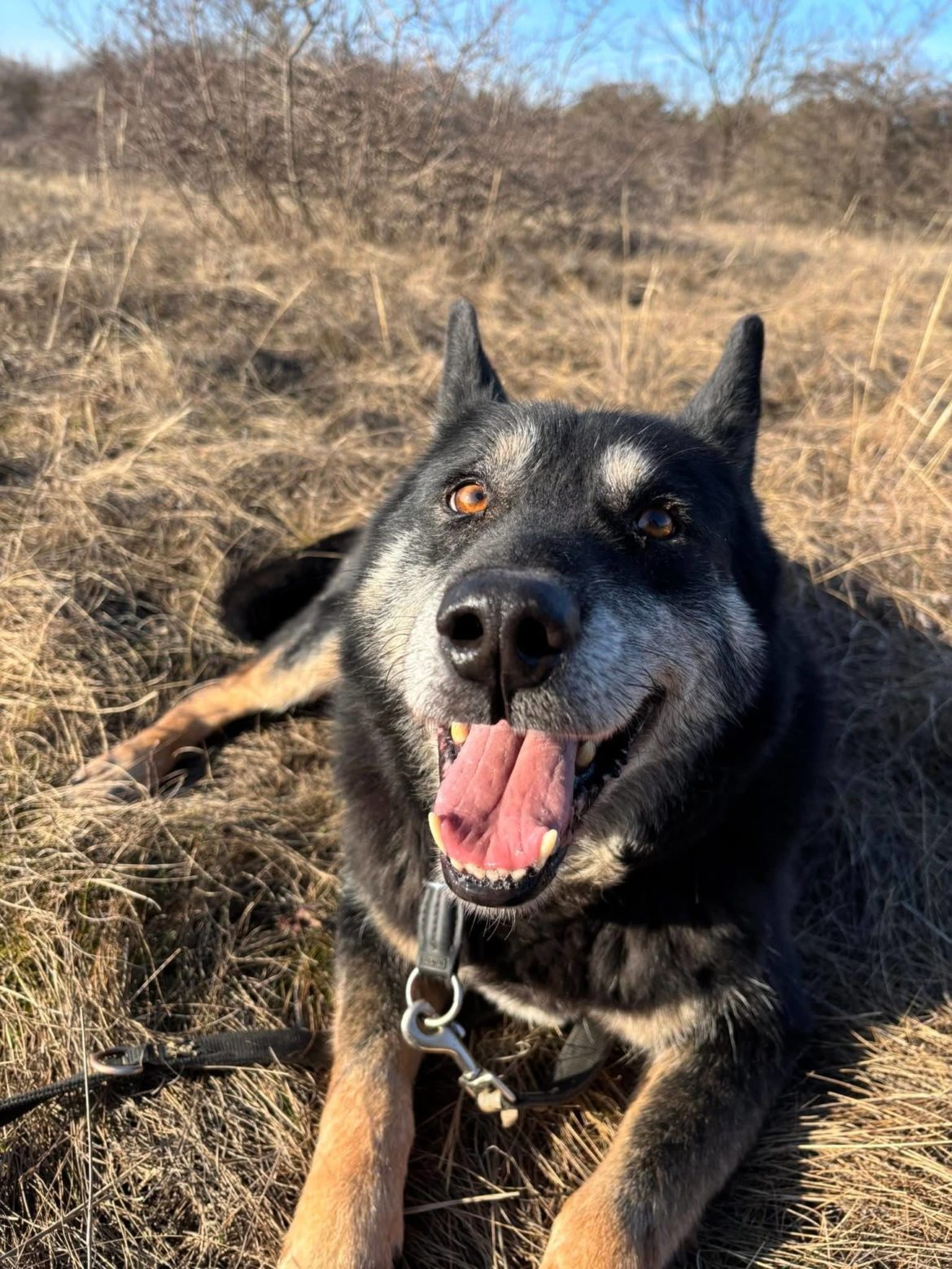 646022905_1385107283644687_5467501590711695323_n