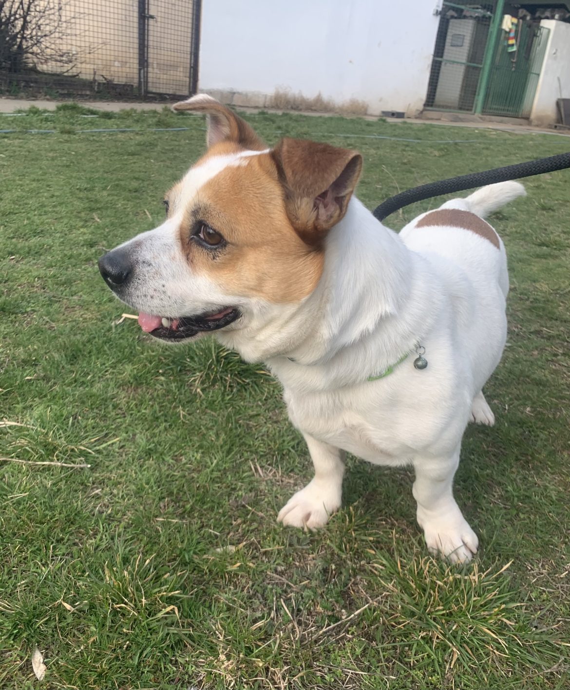 647381507_1389634569858625_7934236658139672788_n