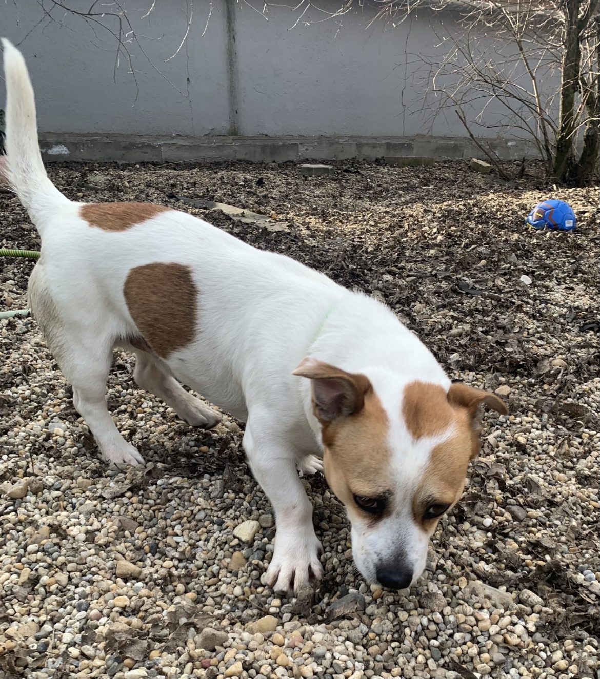 648870714_1389634703191945_4837490386011532718_n