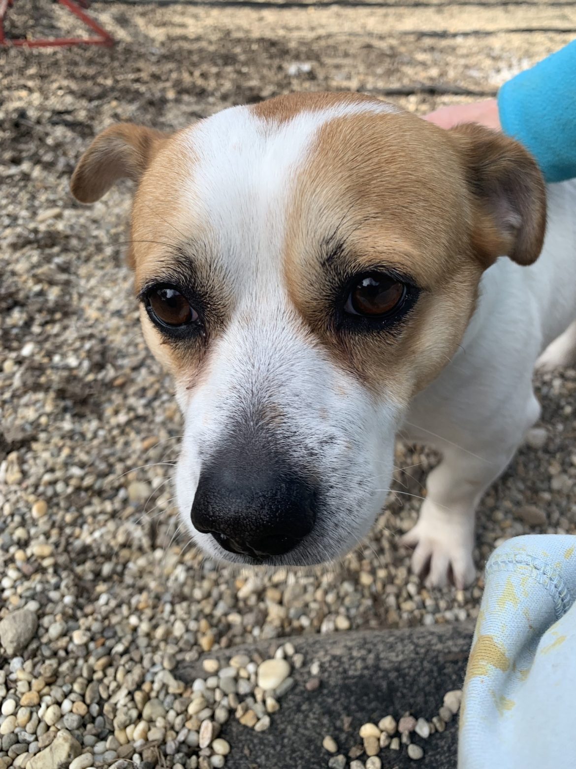 649058945_1389634696525279_8526156873081905992_n