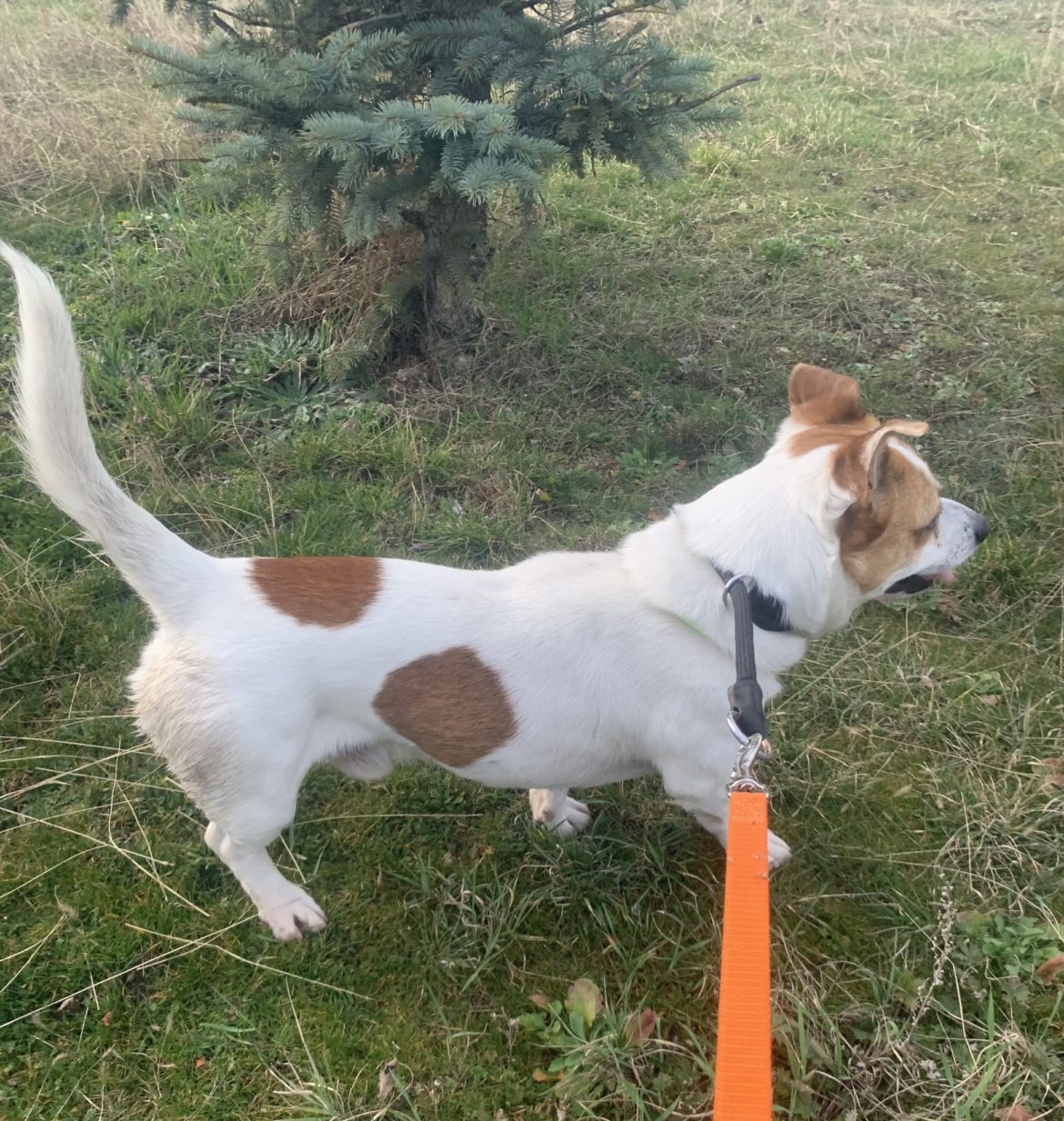 649306728_1389634573191958_6428322569807417110_n