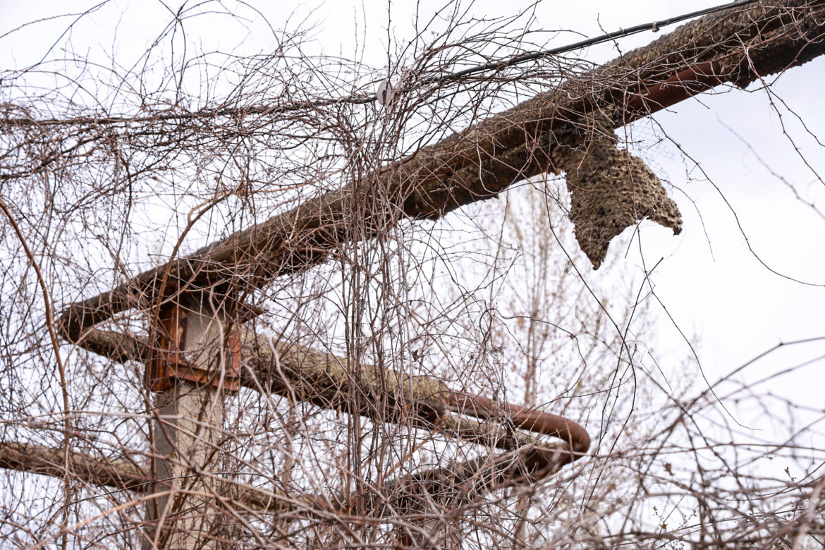 Hunyadi laktanya és környéke k -14